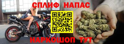 шишки Гусиноозёрск