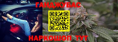 шишки Гусиноозёрск