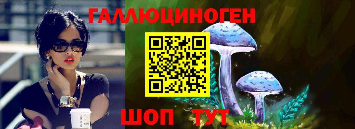 Чехов  Галлюциногенные грибы MAGIC MUSHROOMS  купить наркоту  Вход с VPN 